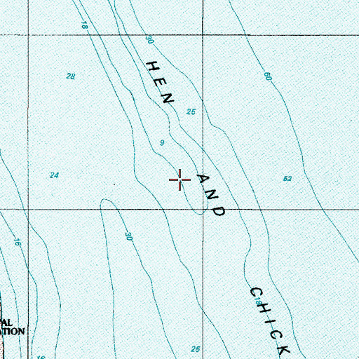 Topographic Map of Hen and Chickens Shoal, DE