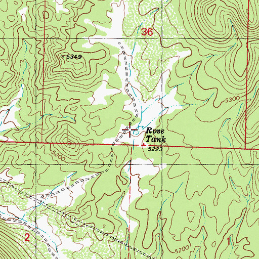 Topographic Map of Rose Tank, AZ