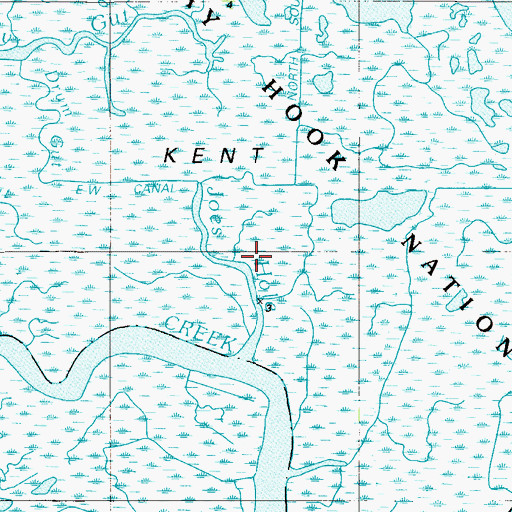 Topographic Map of Joes Hole, DE