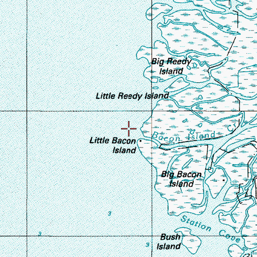 Topographic Map of Little Bacon Island, DE