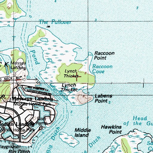 Topographic Map of Lynch Thicket, DE