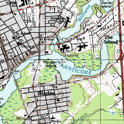 Topographic Map of Morgan Island, DE