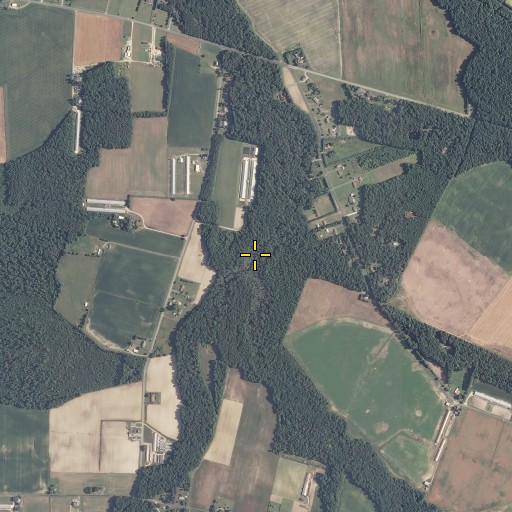 Aerial/Satellite Image of Morris Branch, DE