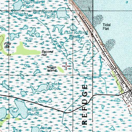 Topographic Map of Negro Island, DE