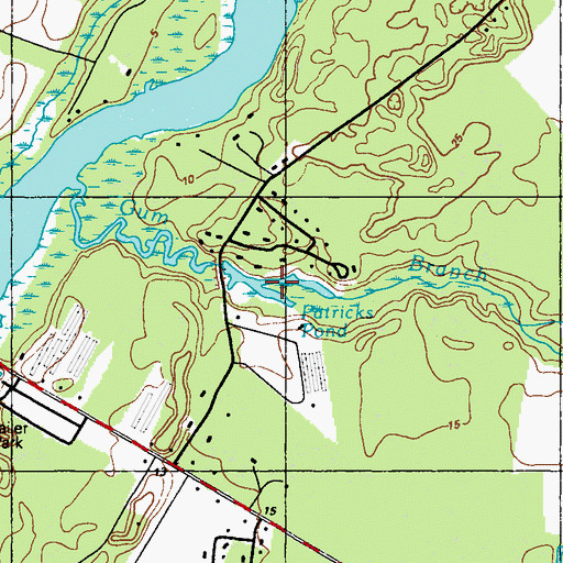 Topographic Map of Patricks Pond, DE