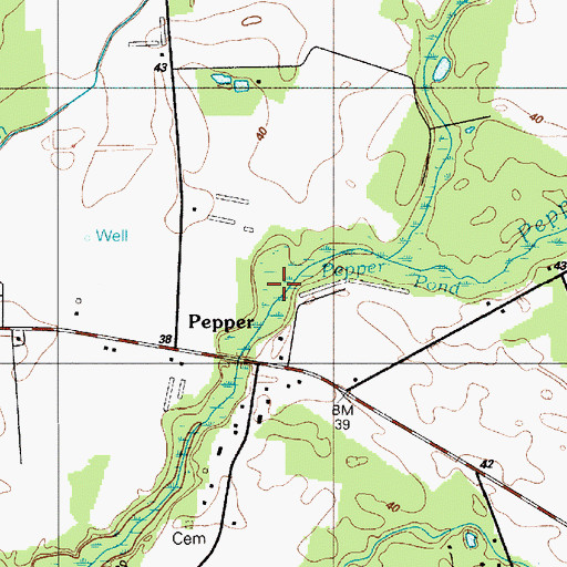 Topographic Map of Pepper Pond, DE