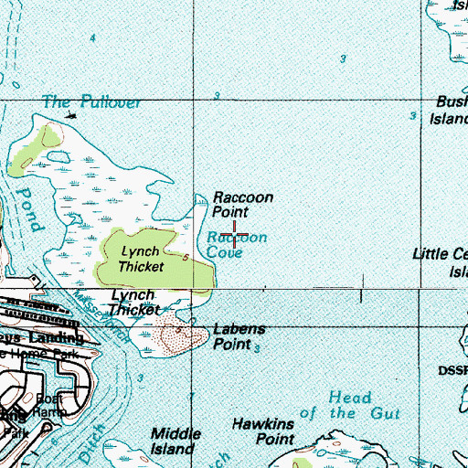 Topographic Map of Raccoon Cove, DE