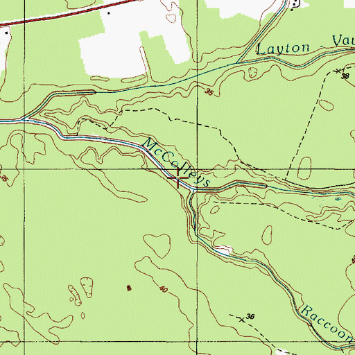 Topographic Map of Raccoon Ditch, DE