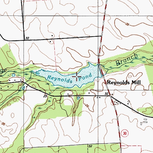 Topographic Map of Reynolds Pond, DE