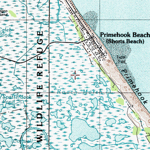 Topographic Map of Roach Marsh, DE