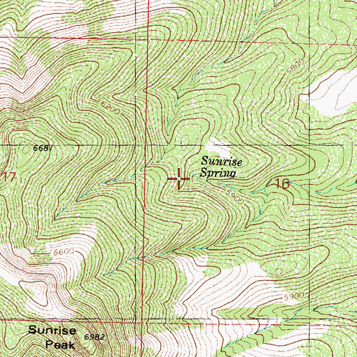 Topographic Map of Sunrise Spring, AZ