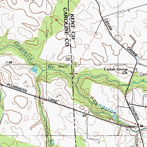 Topographic Map of Sangston Prong, DE