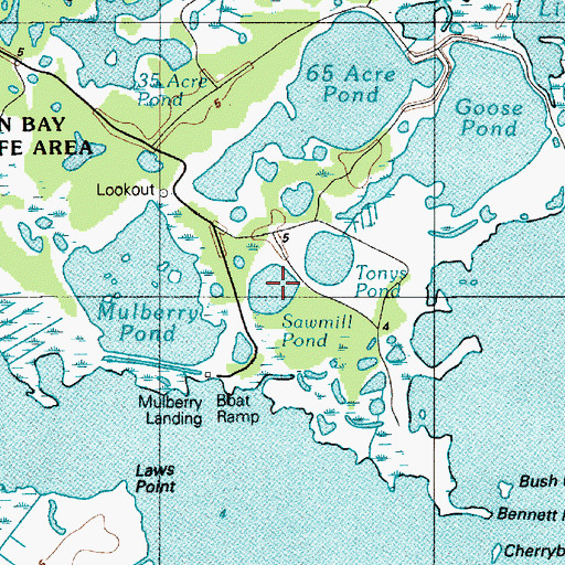 Topographic Map of Sawmill Pond, DE