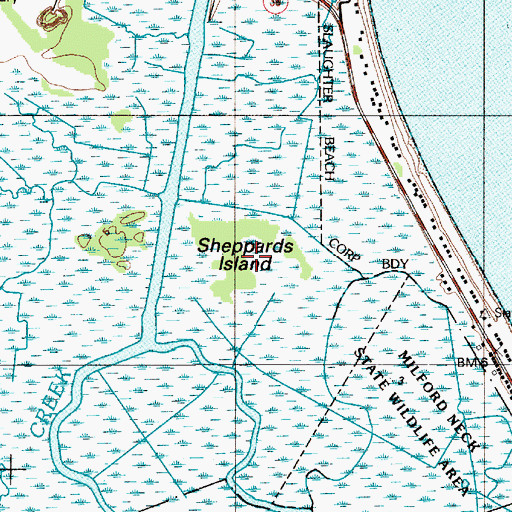 Topographic Map of Sheppards Island, DE