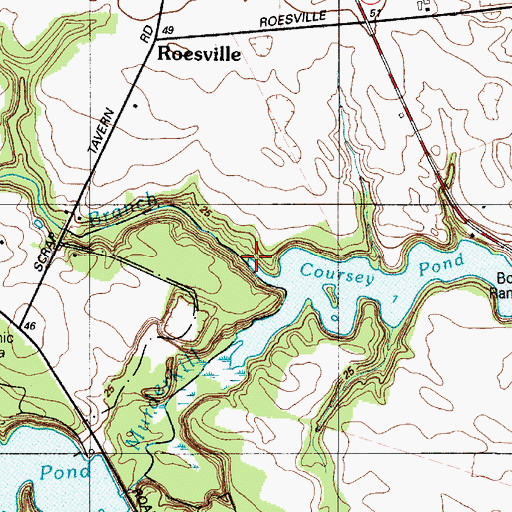 Topographic Map of Spring Branch, DE
