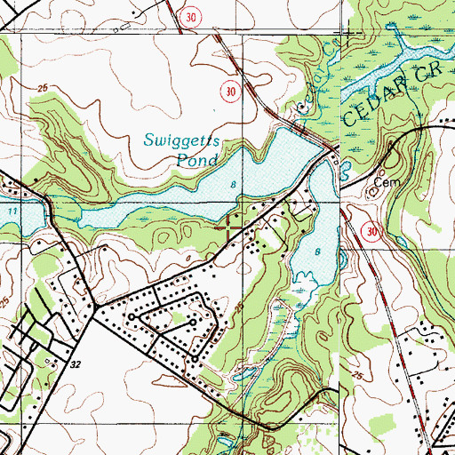 Topographic Map of Swiggetts Pond, DE