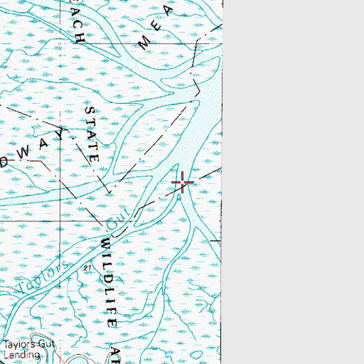 Topographic Map of Taylors Gut, DE