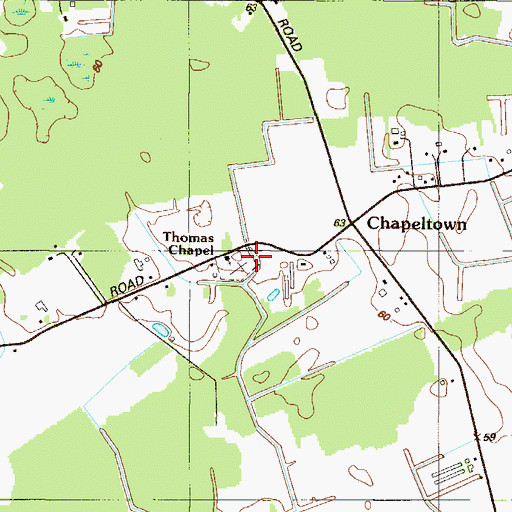 Topographic Map of Thomas Chapel, DE