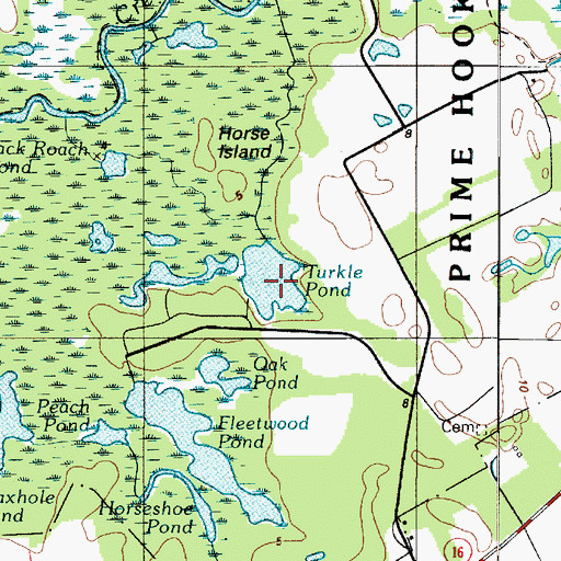 Topographic Map of Turkle Pond, DE