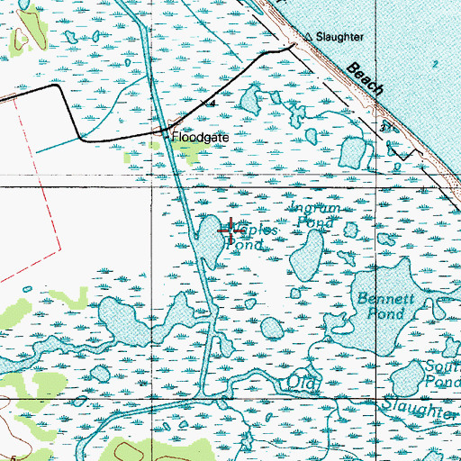 Topographic Map of Waples Pond, DE