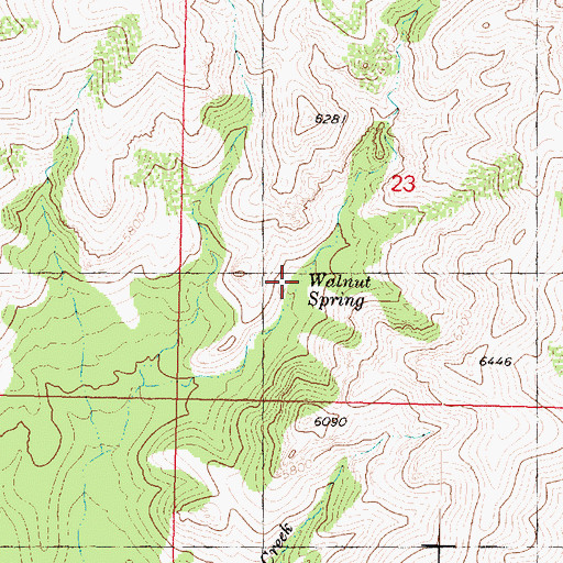 Topographic Map of Walnut Spring, AZ