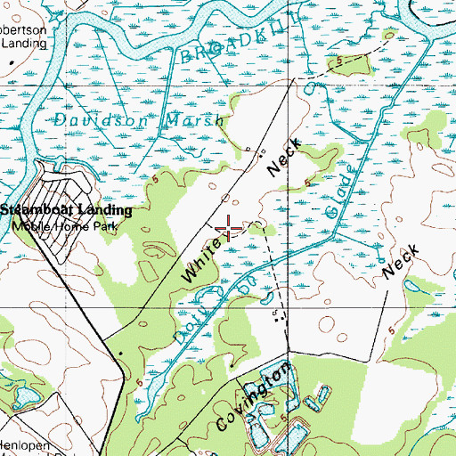 Topographic Map of White Neck, DE