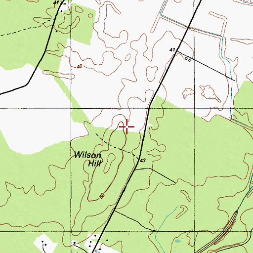 Topographic Map of Wilson Hill, DE