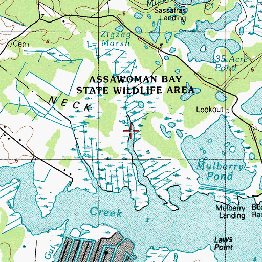 Topographic Map of Zigzag Marsh, DE