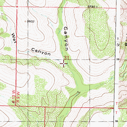 Topographic Map of Wet Canyon, AZ