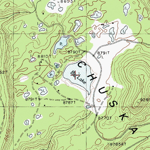 Topographic Map of Big Lake, AZ