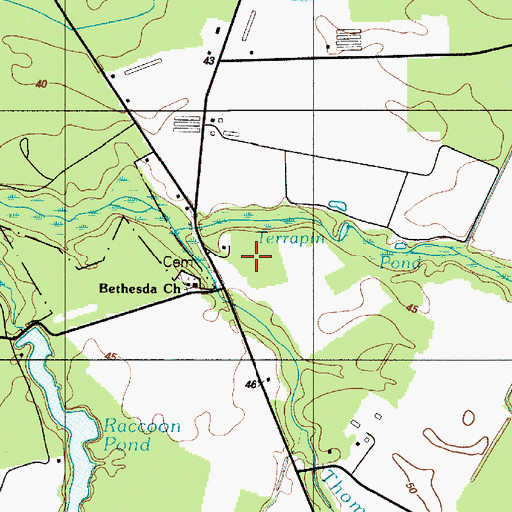 Topographic Map of Terrapin Hill, DE