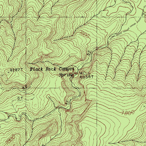 Topographic Map of Black Rock Canyon Spring, AZ