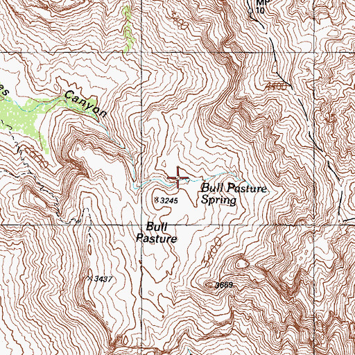Topographic Map of Bull Pasture Spring, AZ