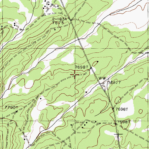 Topographic Map of Bonito Spring, AZ