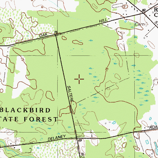 Topographic Map of Blackbird State Forest, DE