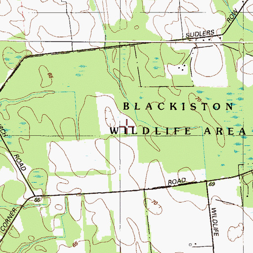 Topographic Map of Blackiston Wildlife Area, DE