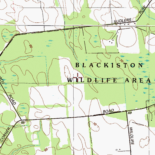 Topographic Map of Blackiston Wildlife Area, DE