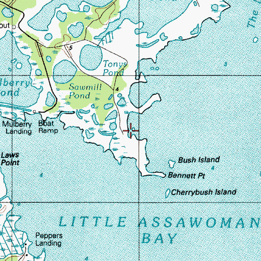 Topographic Map of Tinks Landing, DE