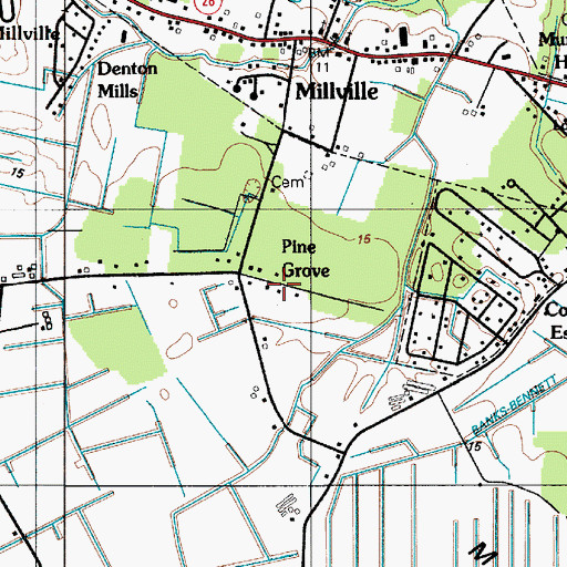 Topographic Map of Pine Grove, DE