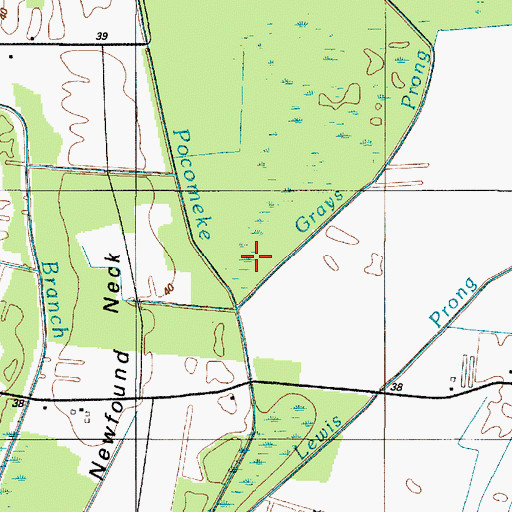 Topographic Map of Grays Prong, DE