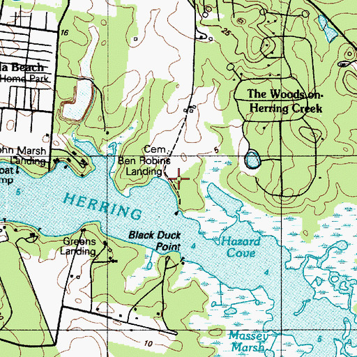 Topographic Map of Ben Robins Landing, DE