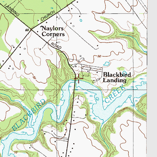 Topographic Map of Blackbird Landing, DE