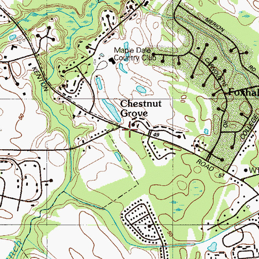 Topographic Map of Chestnut Grove, DE