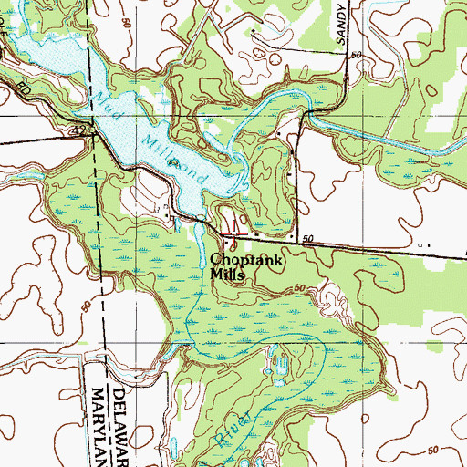 Topographic Map of Choptank Mills, DE