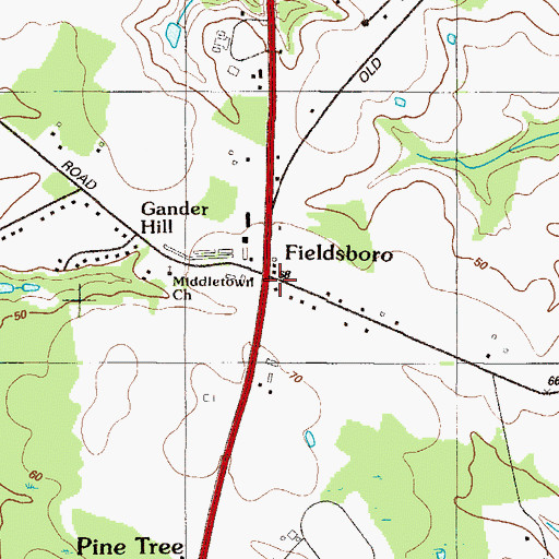 Topographic Map of Fieldsboro, DE