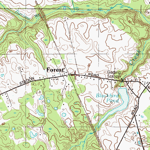 Topographic Map of Forest, DE
