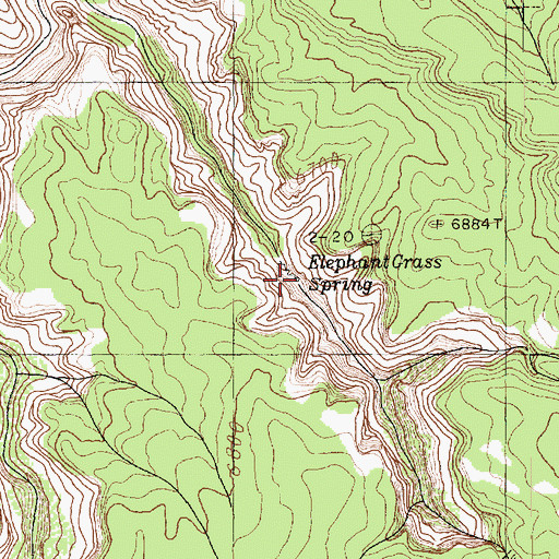 Topographic Map of Elephant Grass Spring, AZ