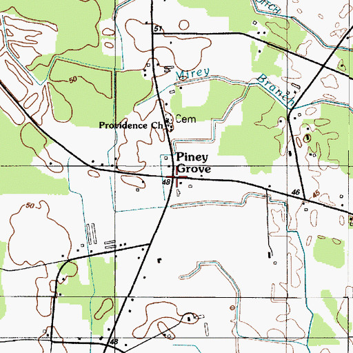 Topographic Map of Piney Grove, DE