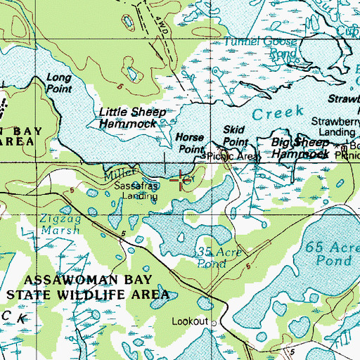 Topographic Map of Sassafras Landing, DE