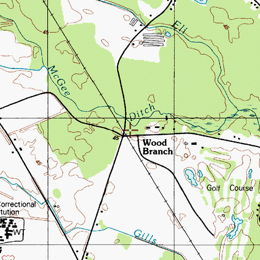 Topographic Map of Wood Branch, DE